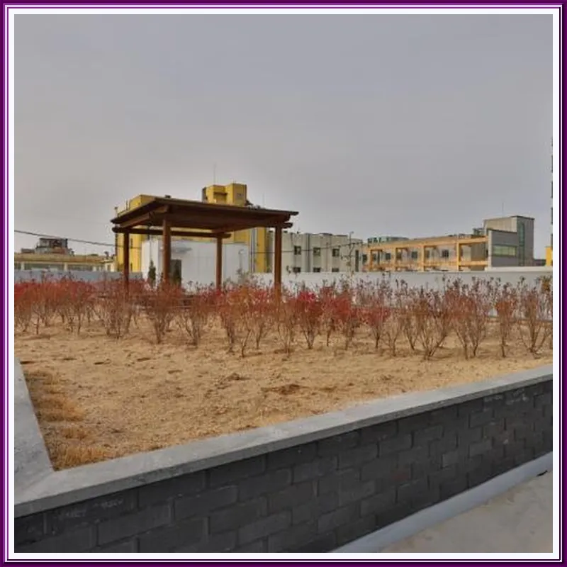 Billion Western Hotel 호텔 시설 이미지