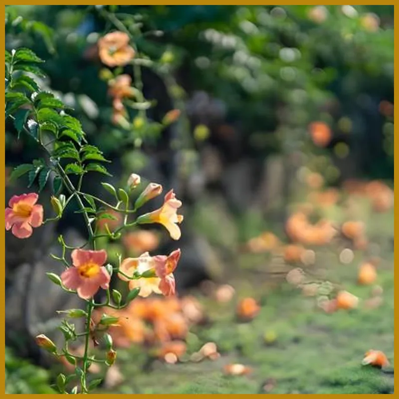 Namhae Goun Pension 호텔 시설 이미지