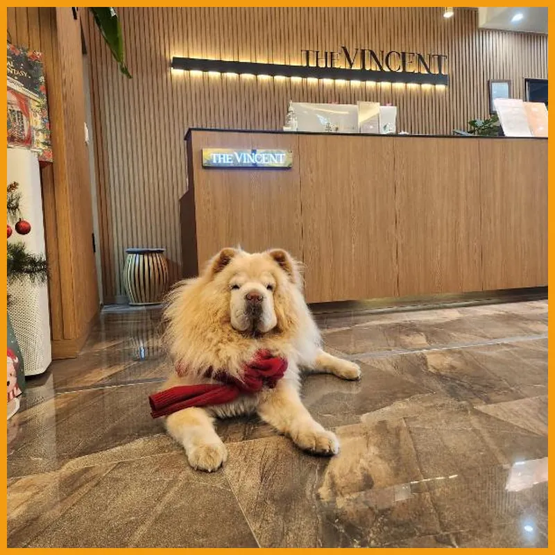 JEONJU HOTEL THE VINCENT 호텔 이미지