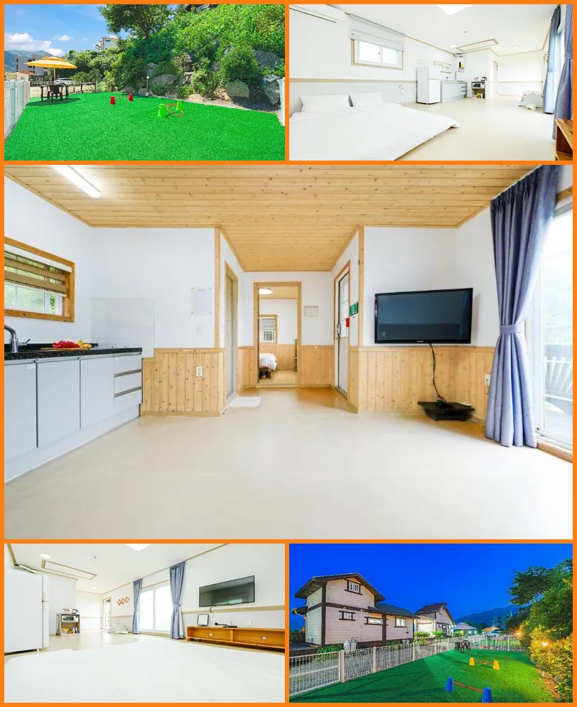 Gapyeong sky aegyeon family dogchae healing pension 호텔 기타 이미지