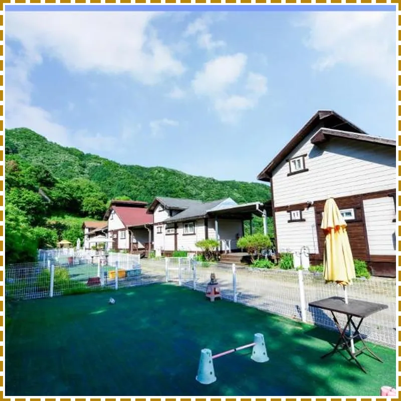 Gapyeong sky aegyeon family dogchae healing pension 호텔 내부 이미지