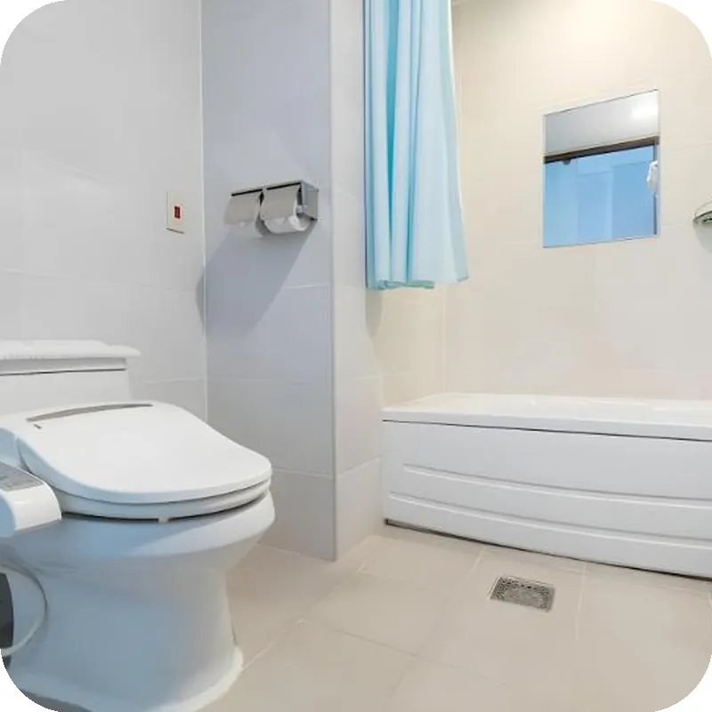 Rosana Tourist Hotel 호텔 시설 이미지