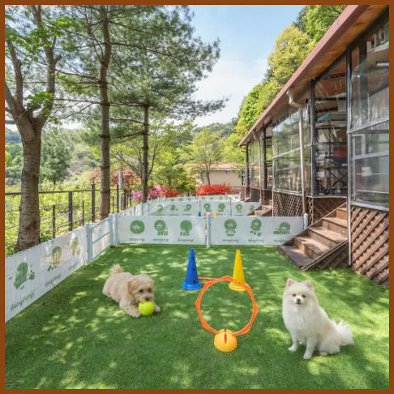 Gapyeong Daengdaengi Dog Pension Silver 호텔 시설 이미지