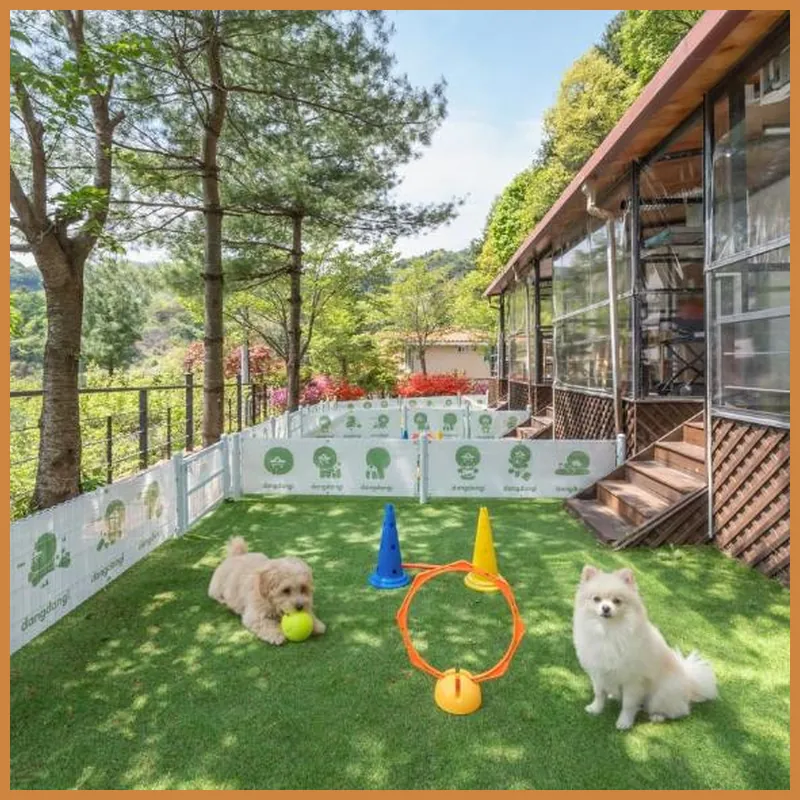 Gapyeong Daengdaengi Dog Pension Silver 호텔 이미지