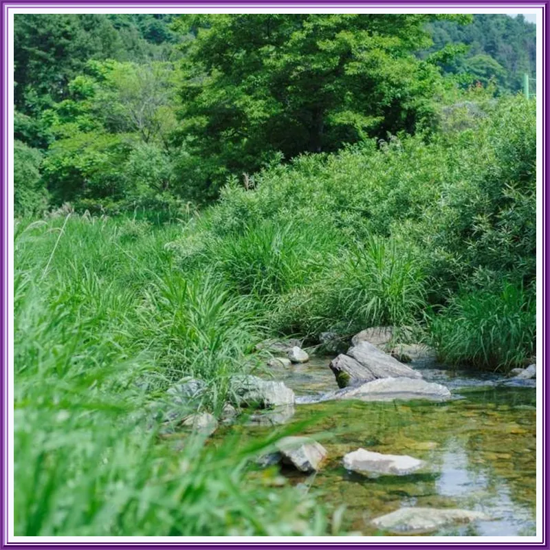 Gapyeong Imchori Buttumark Pension 호텔 이미지