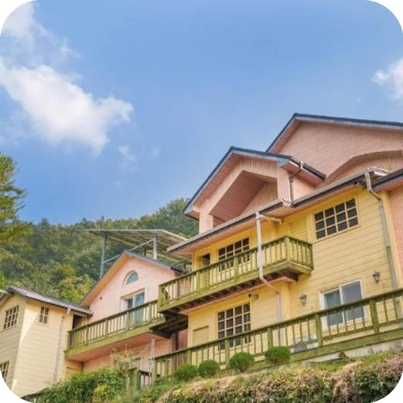 yangpyeong beulleosseom pet spa pension 호텔 이미지