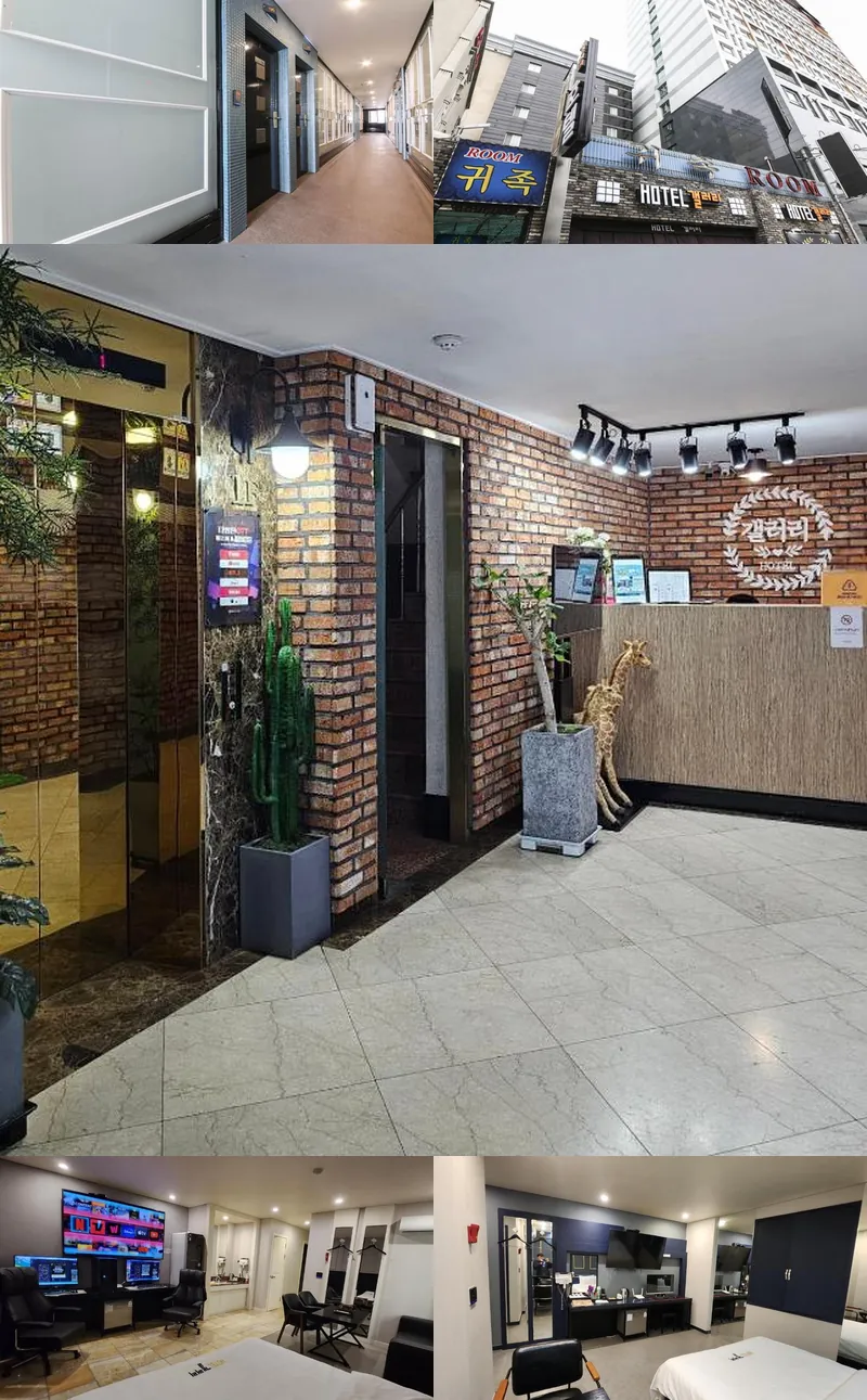 Pyeongtaek Gallery Hotel 호텔 기타 이미지