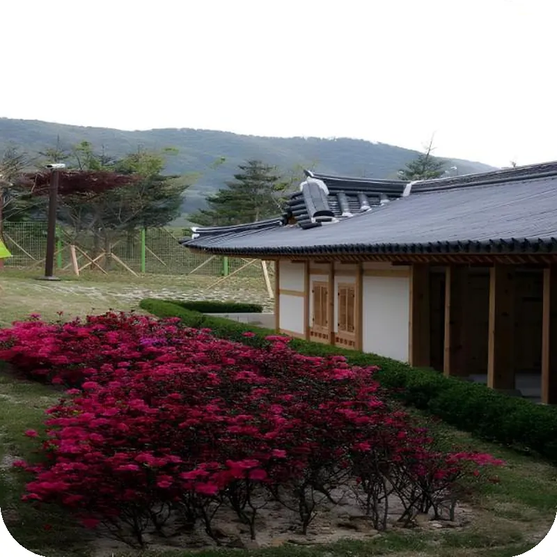 Ragung Hotel 호텔 이미지