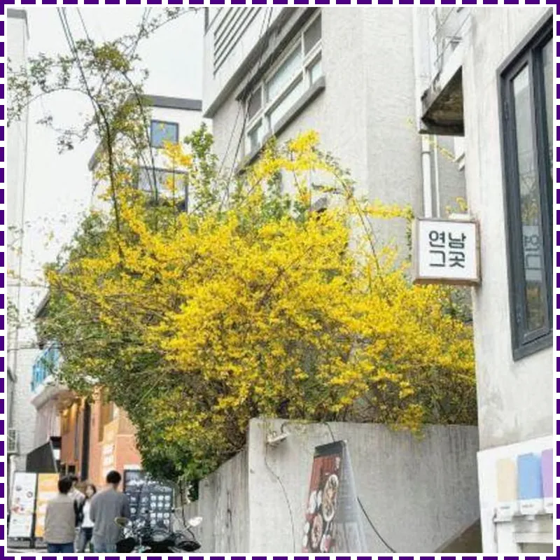 Hongik University Station 8 minutes/2 toilets/2F/Luggage storage available_Essay Yeonnam Bijou home 호텔 이미지