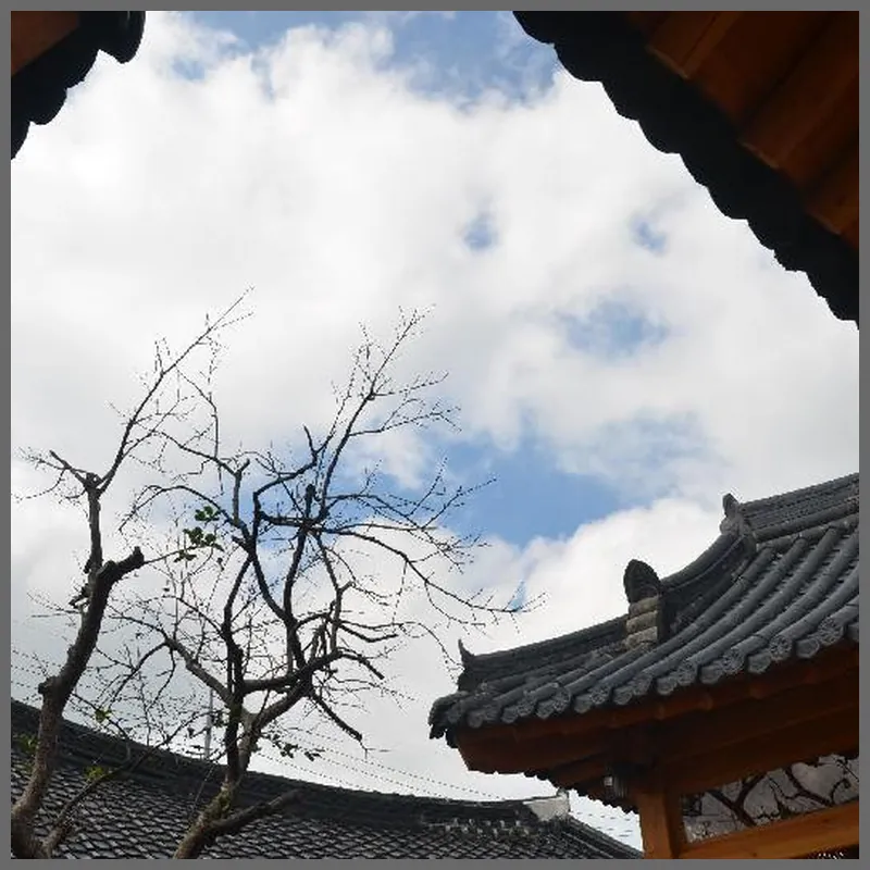 Sarangroo Guesthouse 호텔 시설 이미지