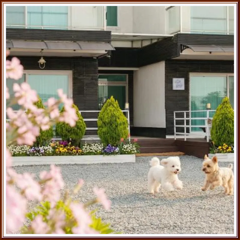 Suncheon Sum Pension 호텔 이미지