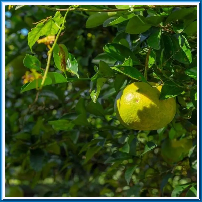 Lalala the Pretty Myeongwol Pension 호텔 시설 이미지