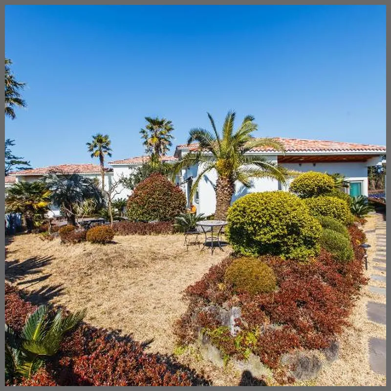 Harmony Resort 호텔 이미지