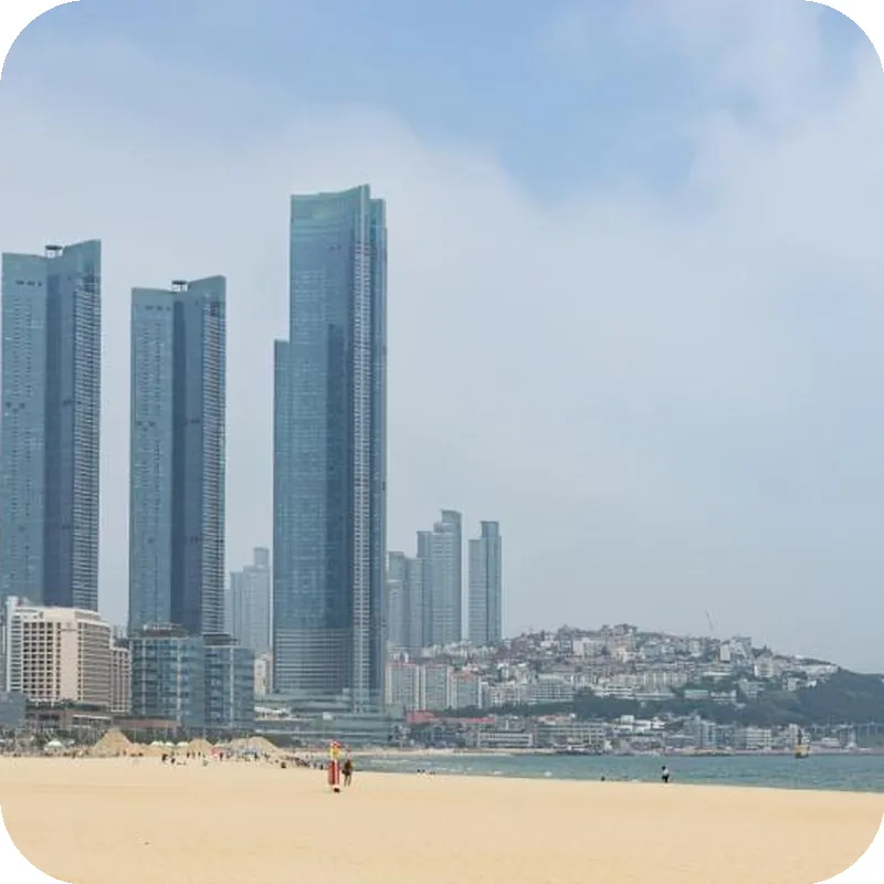 LCT Residence THE VINE Haeundae 호텔 시설 이미지