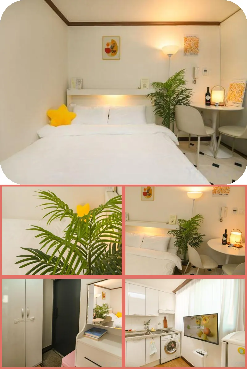 CareCove 호텔 기타 이미지