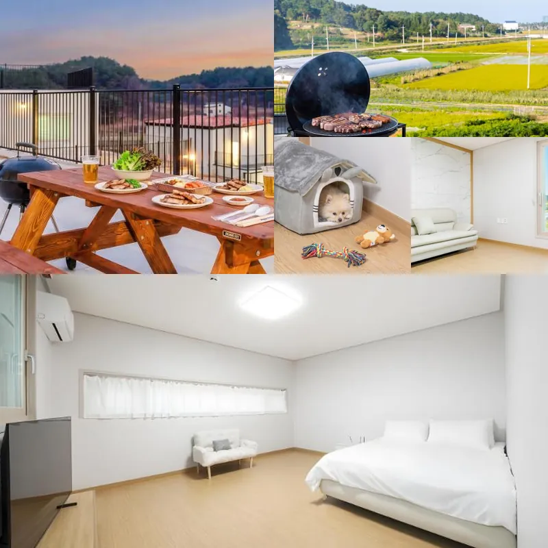 Gangneung thenext pension 호텔 기타 이미지