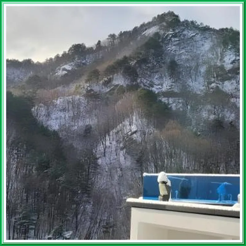 Gangneung Muije Dokchae Pension (Newly Built in November 2025) 호텔 시설 이미지