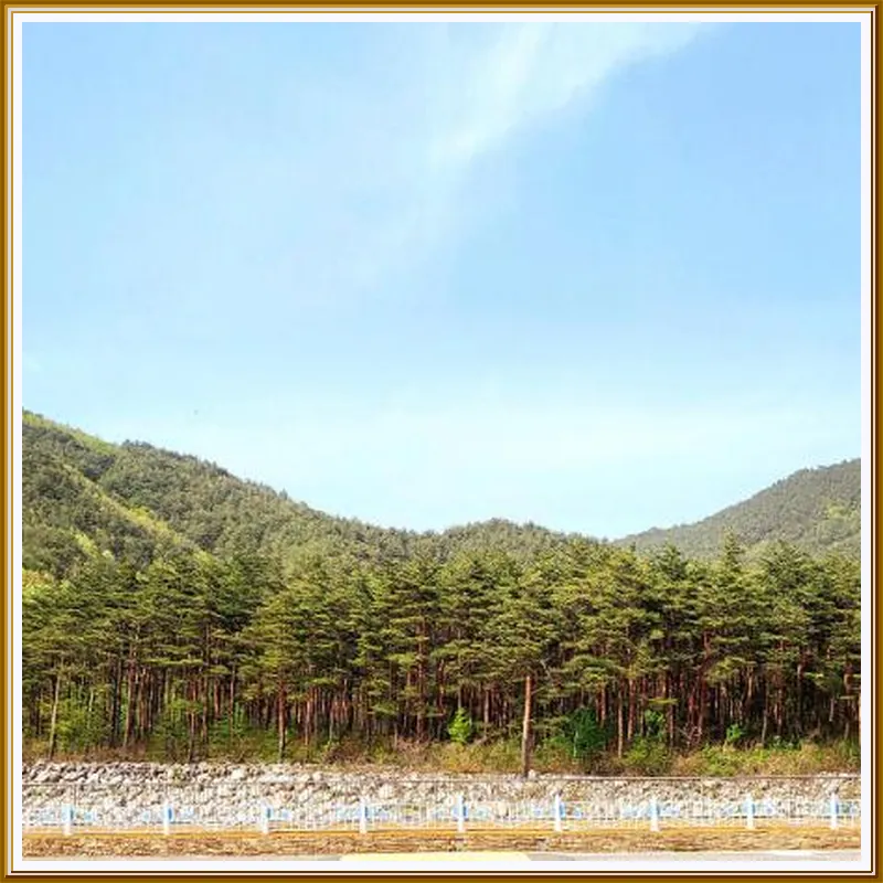 Sokcho Pine View Hotel 호텔 시설 이미지