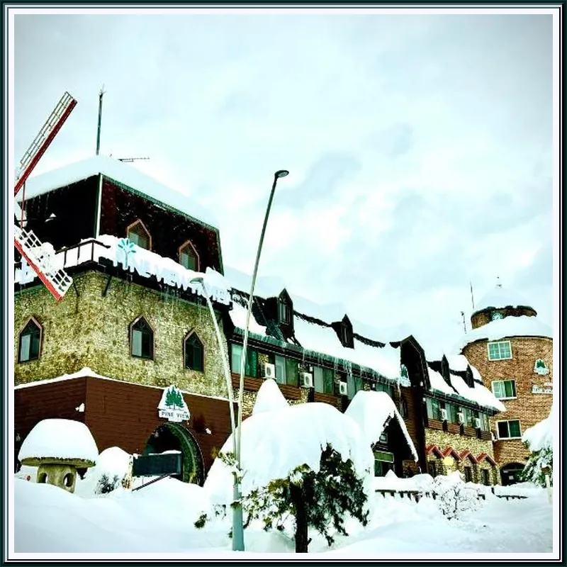 Sokcho Pine View Hotel 호텔 이미지