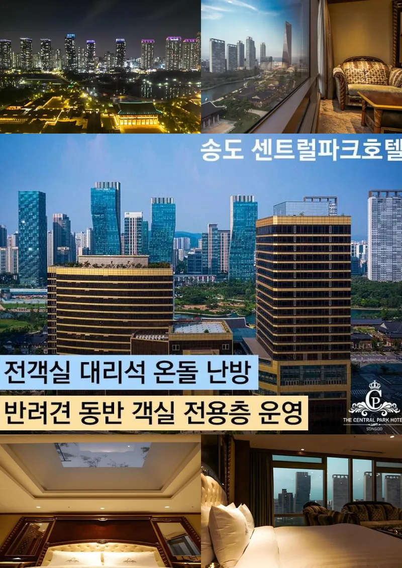 Songdo Central Park Hotel 호텔 기타 이미지