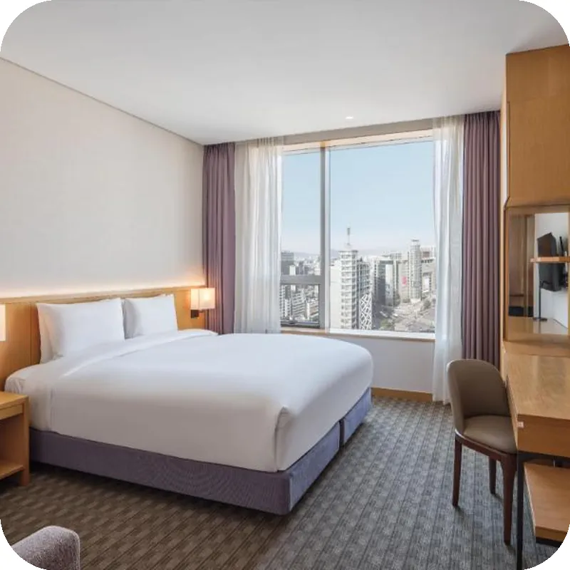 Sotetsu Hotels The Splaisir Seoul Dongdaemun 호텔 내부 이미지