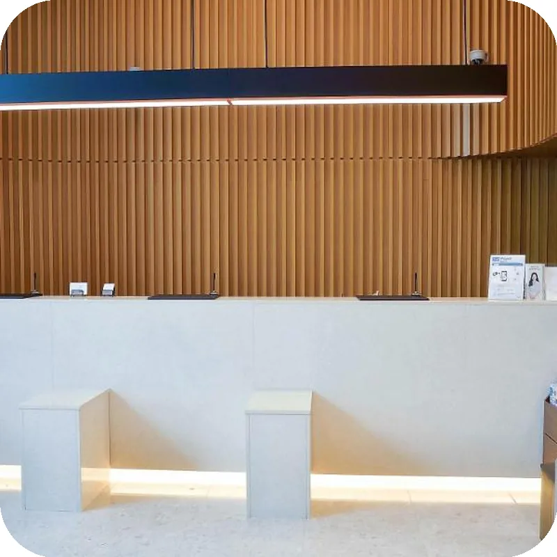 Sotetsu Hotels The Splaisir Seoul Dongdaemun 호텔 이미지