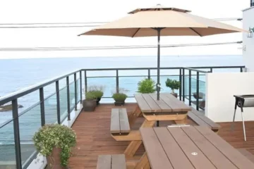 Dancing Whale Pension