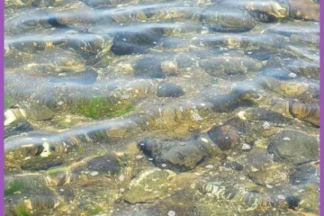 Jeju Hanultari Pension