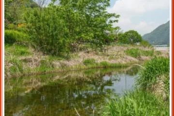 Gangchon Afternoon Pool Villa Pension