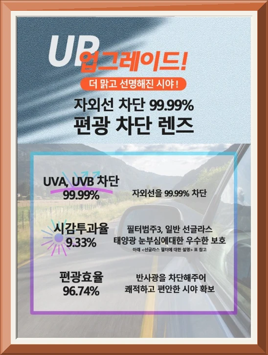 가빈 편광 선글라스 사진3