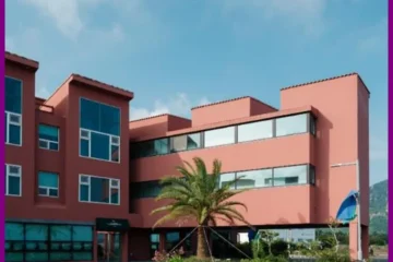 오피스제주