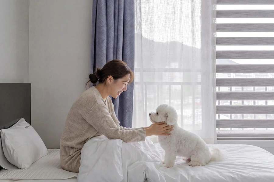 여수 진아리랑 호스텔 펜션 객실